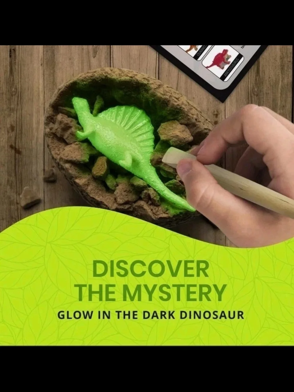 Excavation Adventure Dinosaur Eggs Kit-12 Mystery Glow in The Dark Science STEM